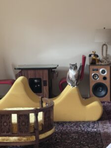 how we make songs about cats